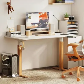 Adjustable Electric Standing Desk