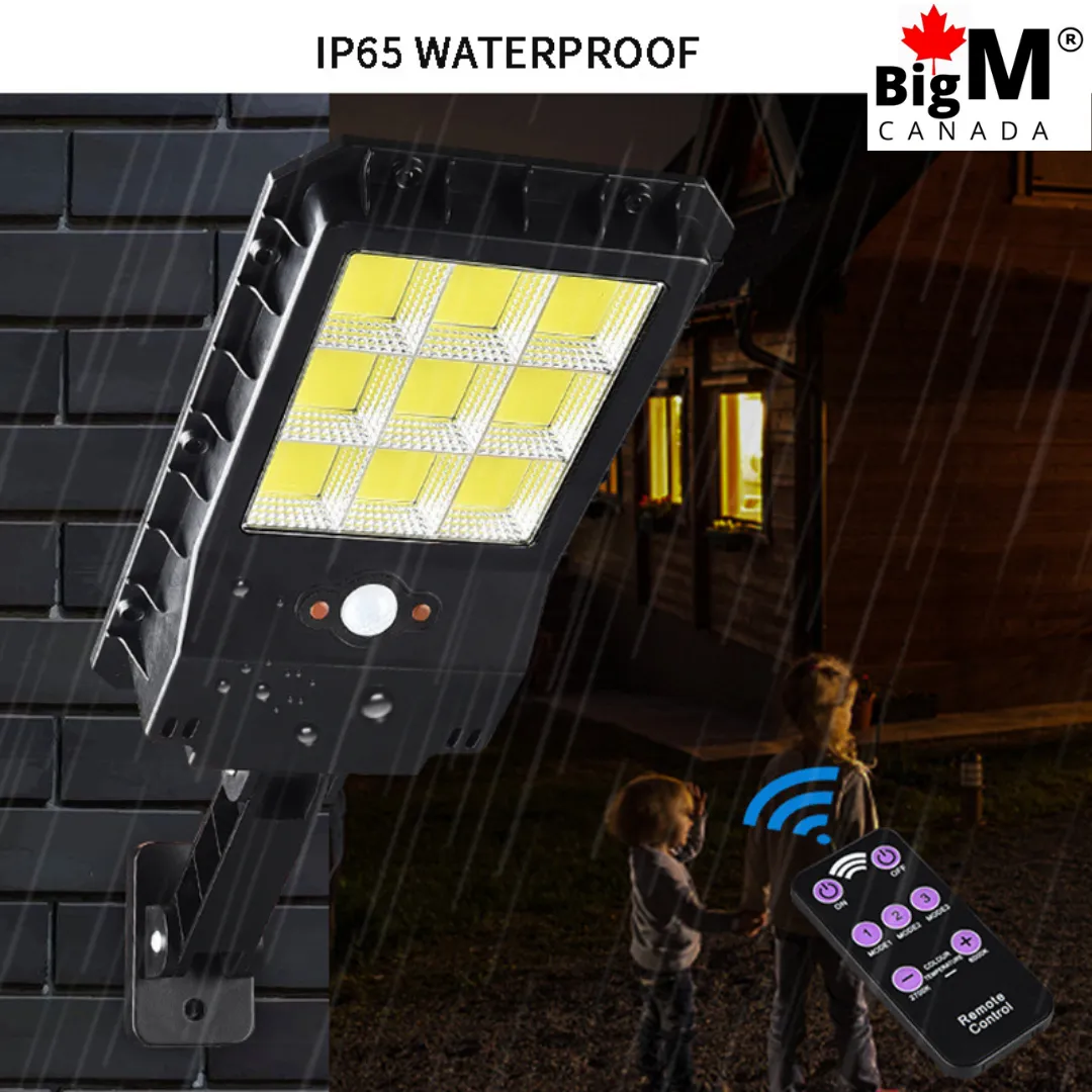 BigM 100W Bright LED Outdoor Solar Street Light With Motion Sensor