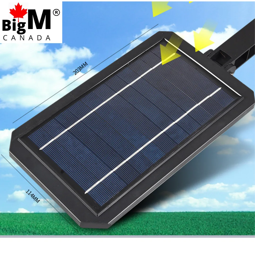 BigM 100W Bright LED Outdoor Solar Street Light With Motion Sensor