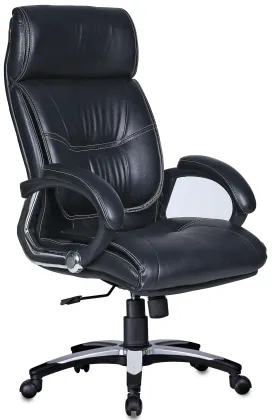 Elegant Executive Chair in Black Colour by Adiko Systems