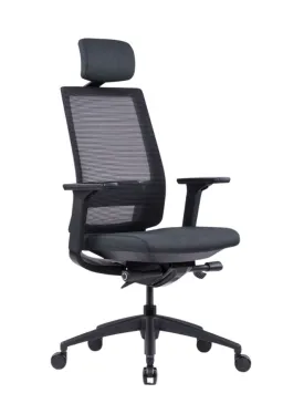 High Back Ergonomic Office Chair with Removable Headrest and 3D Armrests - Mesh & Fabric Seat