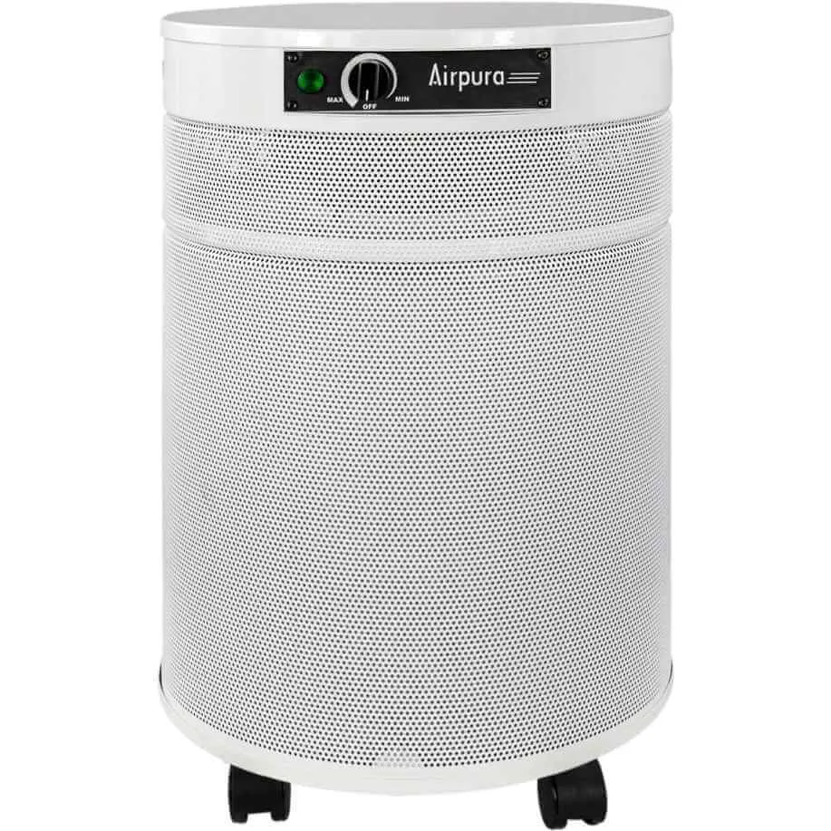 I600 Air Purifier for Dust & Seasonal Allergies by Airpura