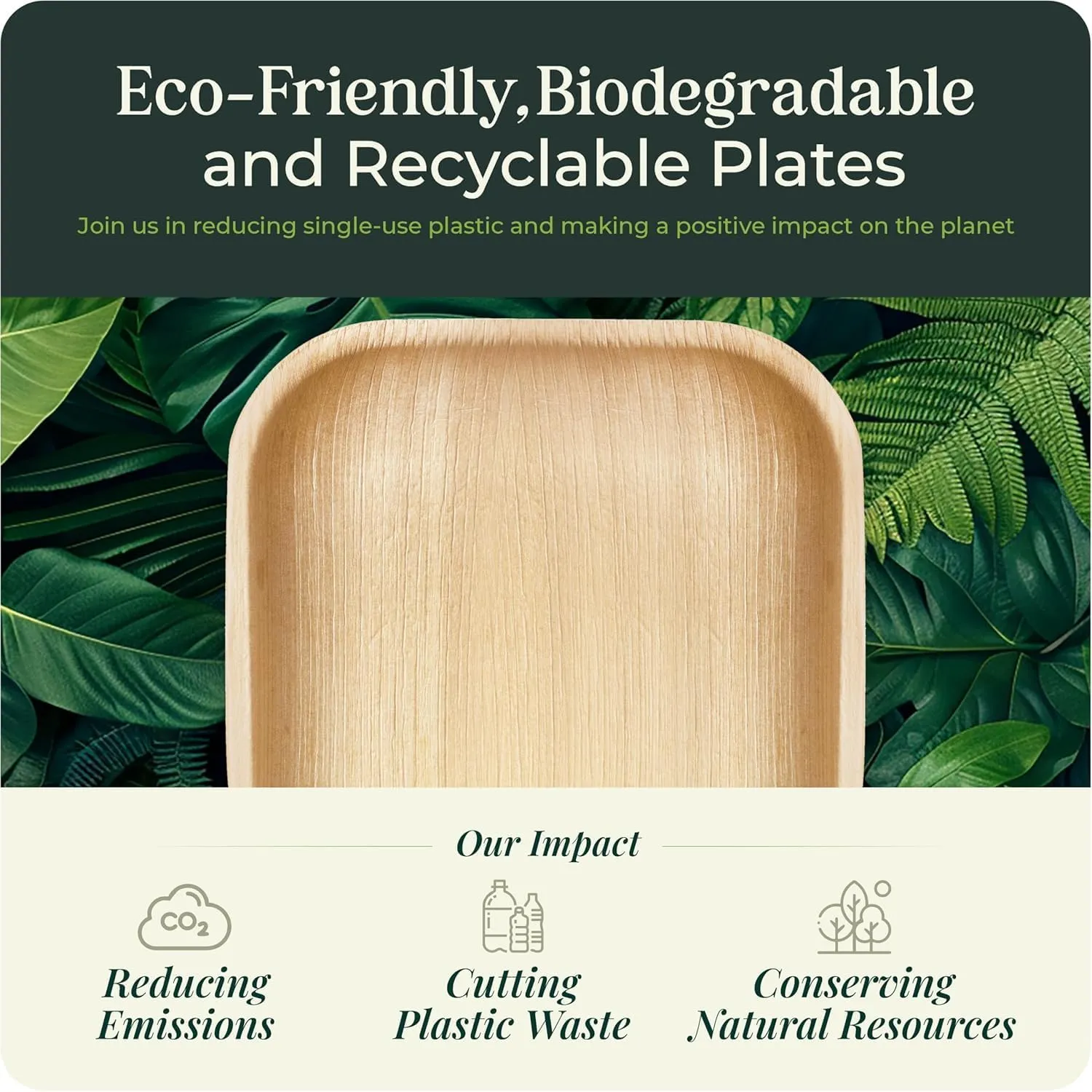 Palm Leaf Plate 4 Inch Bamboo Plate Disposable Small Square Party Plates, Eco-Friendly & Biodegradable Compostable Plates Best Alternative To Wooden Plastic Paper By KoalaLove (25)