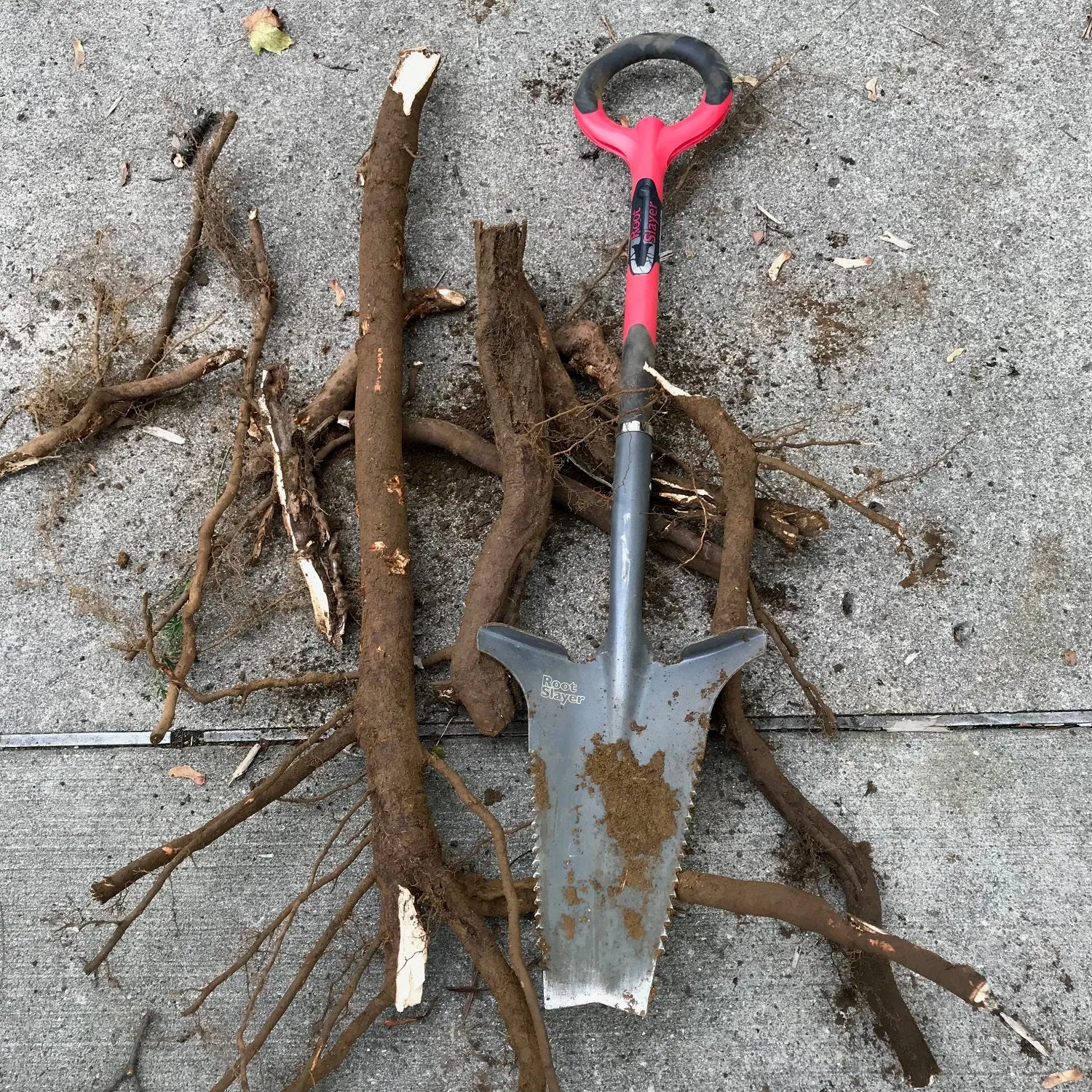 Root Slayer