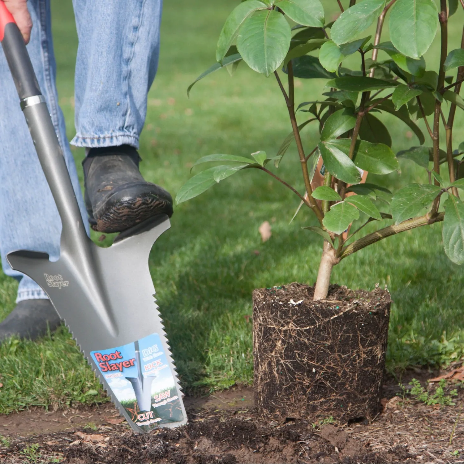 Root Slayer
