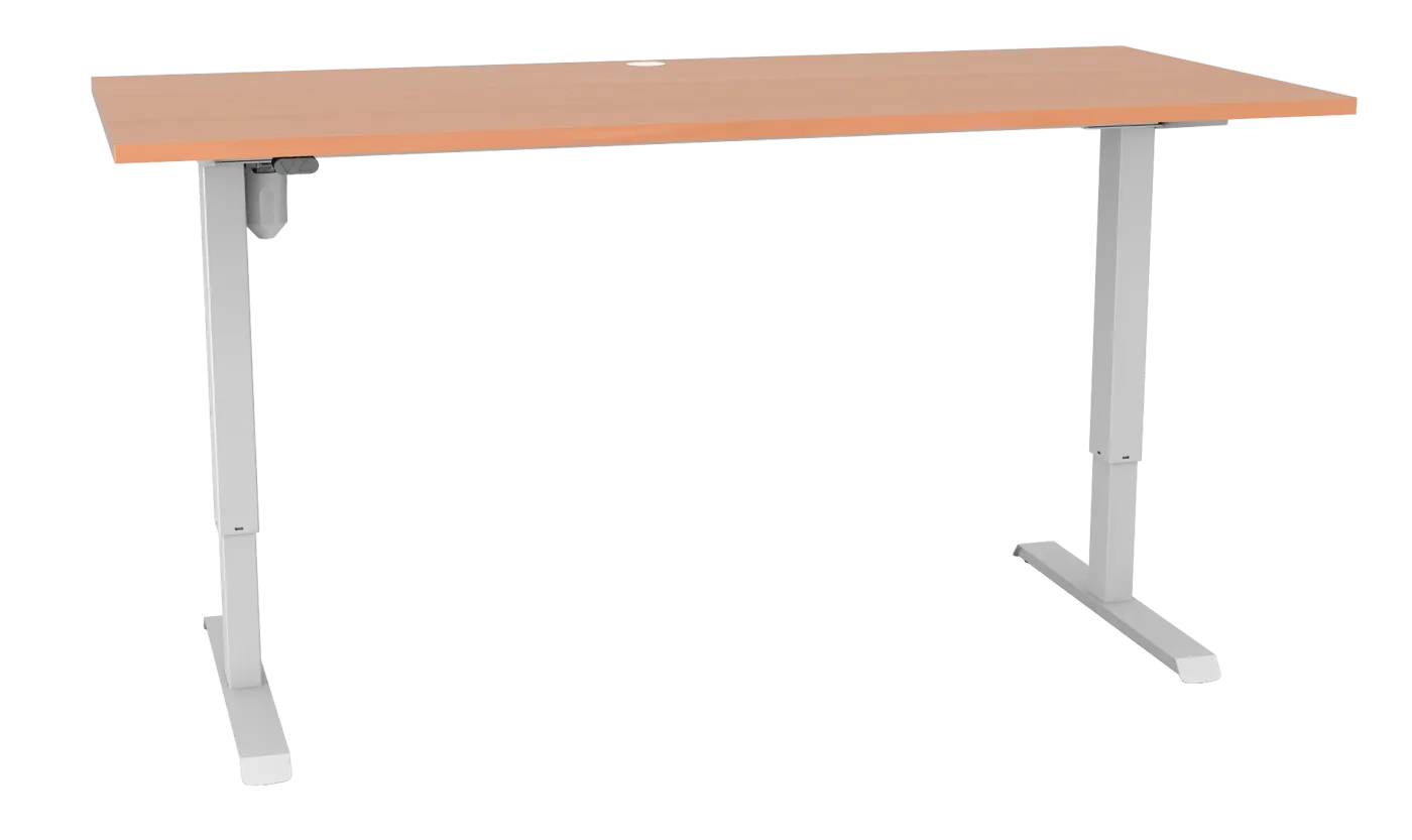 Sit Stand Desk