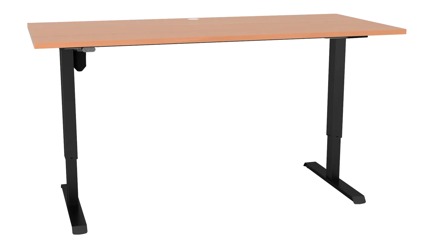 Sit Stand Desk