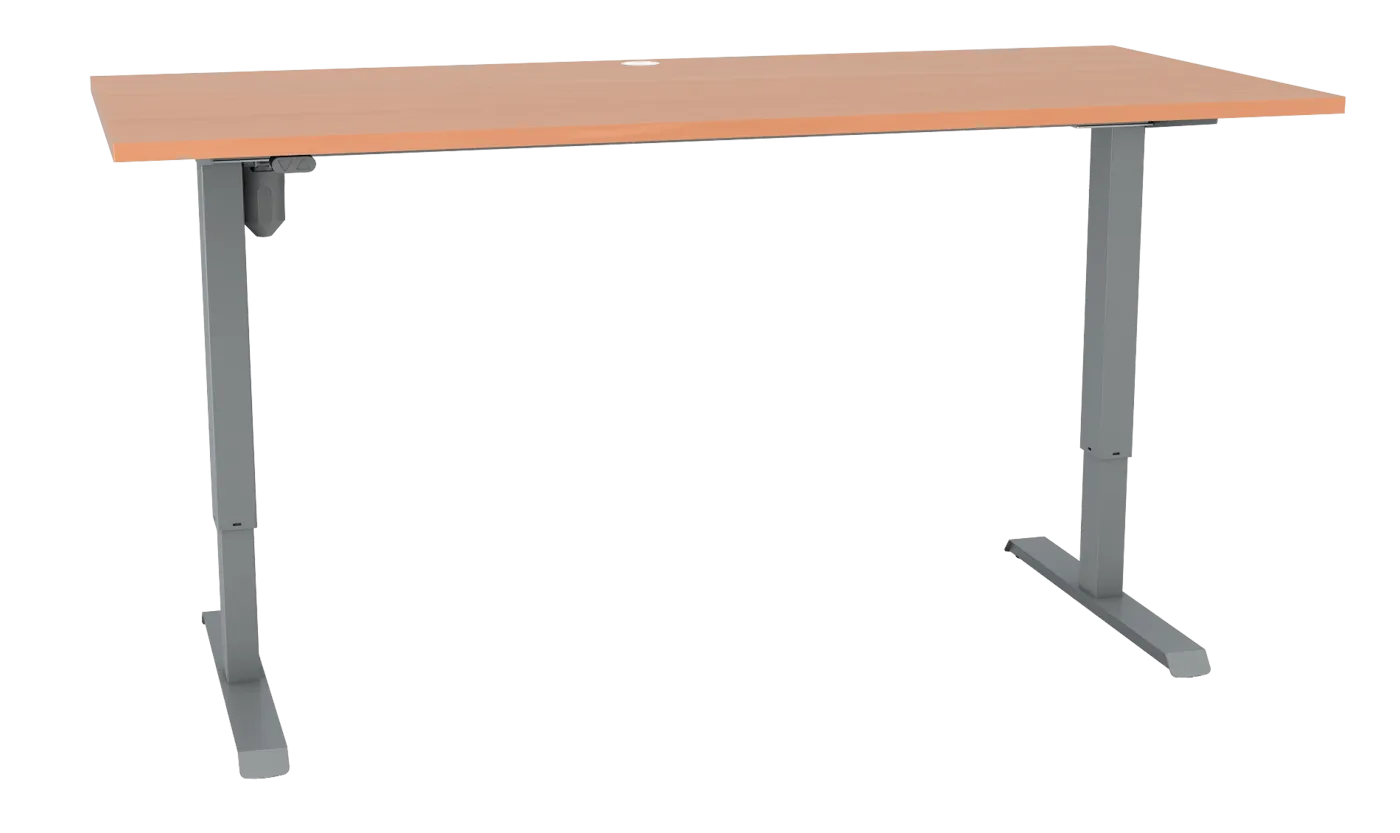 Sit Stand Desk