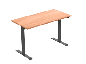 Standwell Electric Height Adjustable Desk